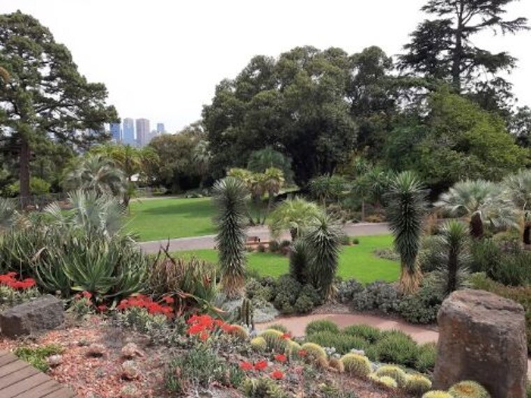 Royal Botanic Gardens Victoria_Melbourne Gardens-1